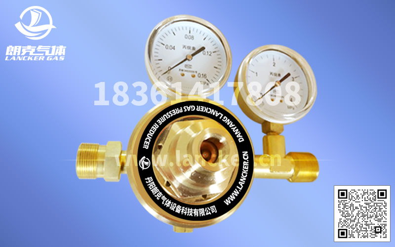 BWJ-224丙烷管道減壓器