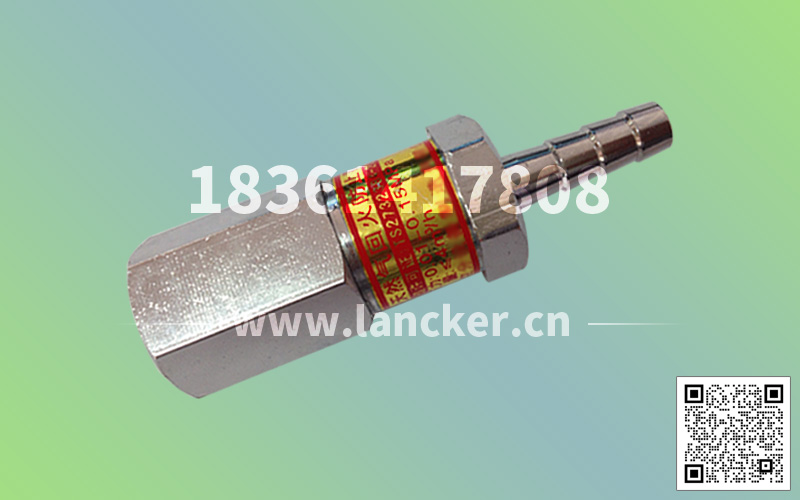 帶插管阻火器-3.jpg 帶插管阻火器-3.jpg