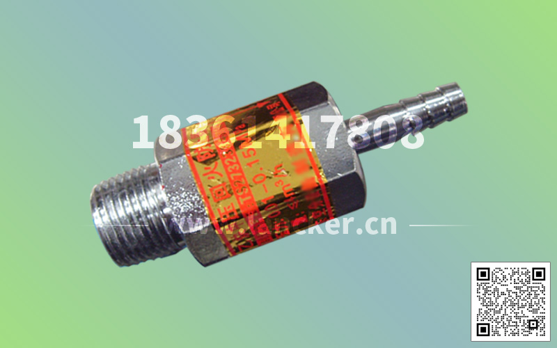 帶插管阻火器-2.jpg 帶插管阻火器-2.jpg