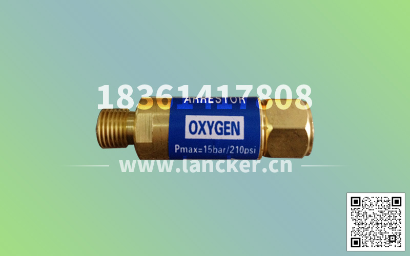 杜瓦瓶用阻火器-氧氣.jpg 杜瓦瓶用阻火器-氧氣.jpg