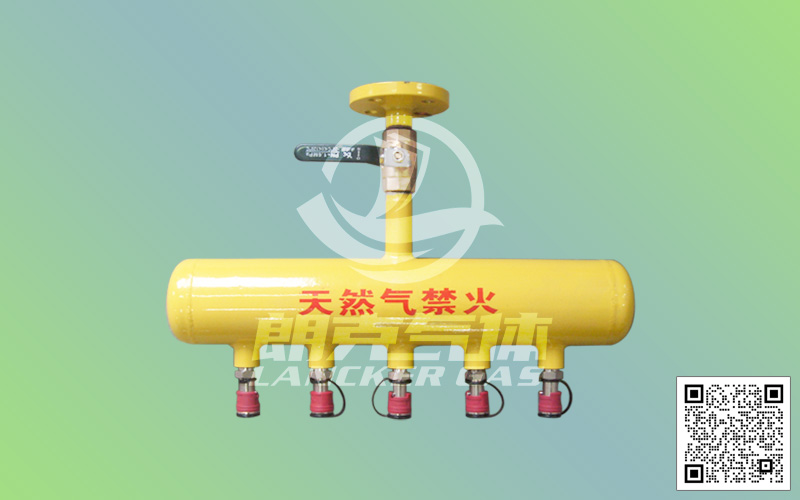 天然（燃）氣配氣器