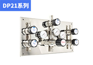 DP21系列雙側(cè)式小流量高純特氣供氣面板