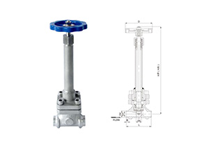 DJF-A系列(DN10-50)低溫長軸截止閥