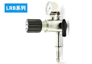LRB20系列桌面/墻面/后進(jìn)氣式調(diào)壓終端