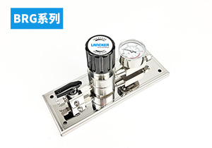 BRG系列調(diào)壓終端面板
