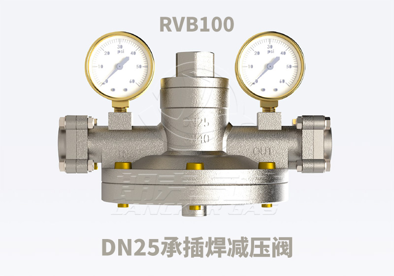 RVB100減壓閥_描述圖.jpg RVB100減壓閥_描述圖.jpg
