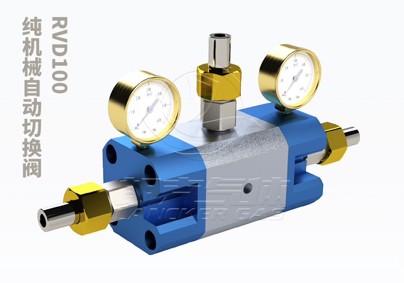 RVD100減壓閥_描述圖1.jpg RVD100減壓閥_描述圖1.jpg